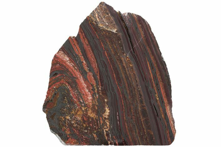Polished Tiger Iron Stromatolite Slab - Billion Years #222039